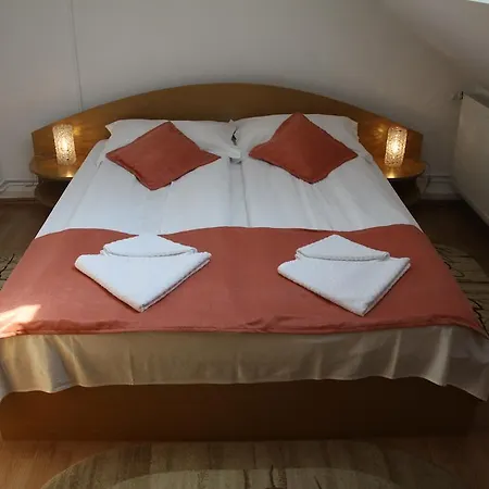 Gasthuis Pensiunea Amso 3*